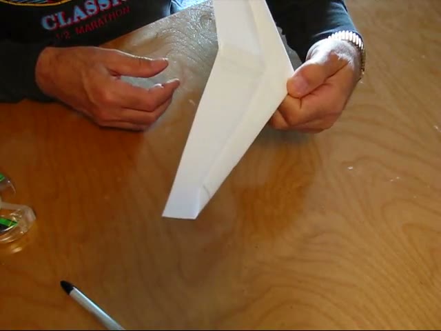 The finished OmniWing held ready to launch